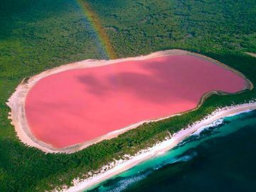 Pink-Lake