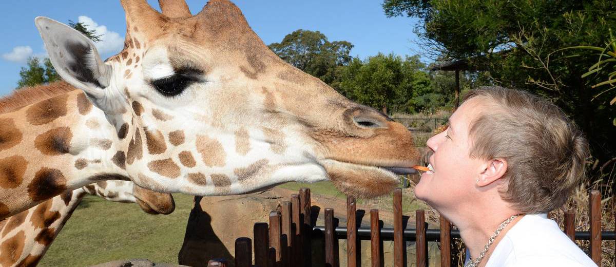 SUNSHINE_COAST_WINTER_Kissing-a-giraffe-at-Australia-Zoo_image-courtesy-Australia-Zoo-1200x520