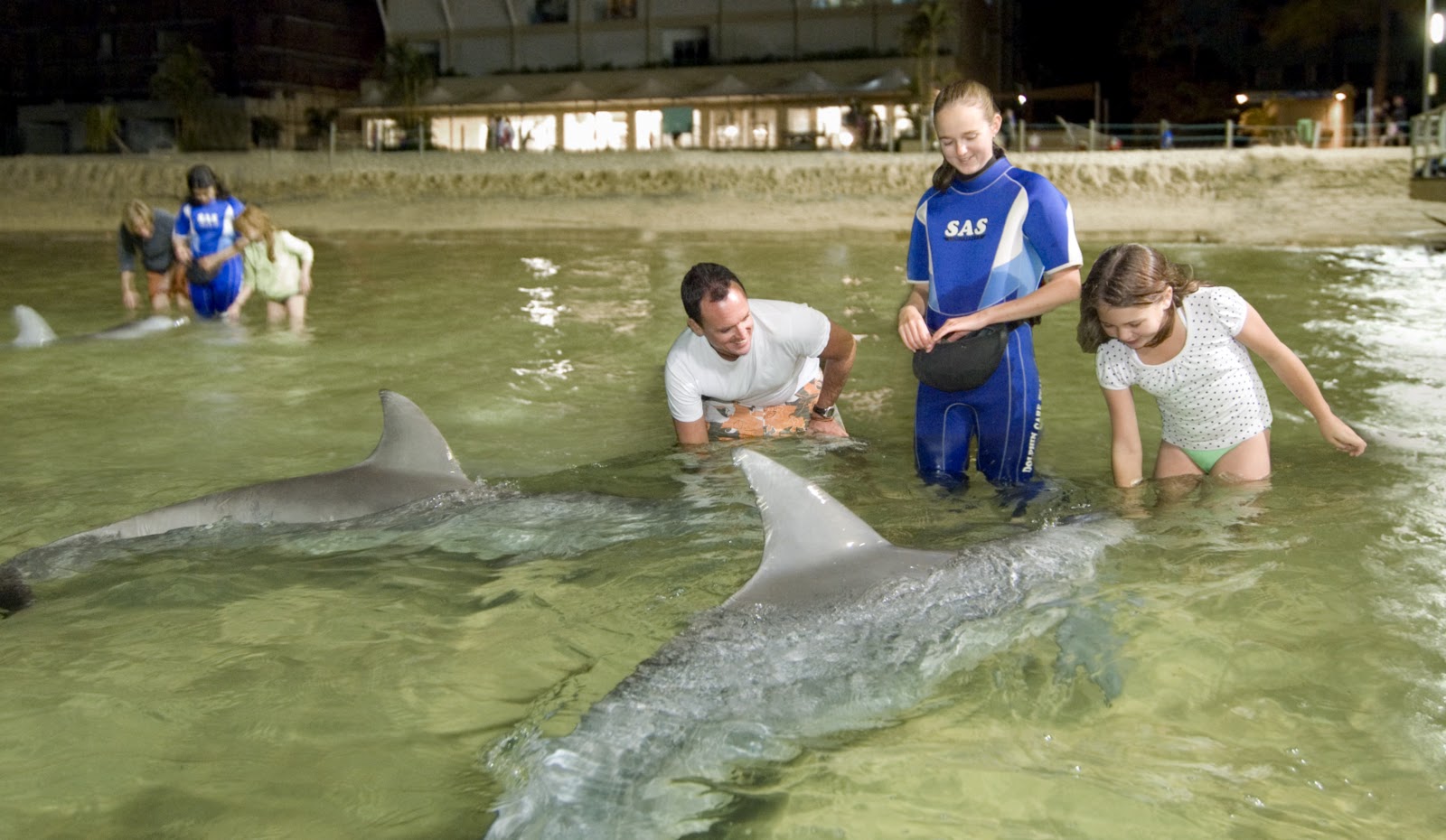 Tangalooma Island Resort - Dolphin feeding TIF 2008-09