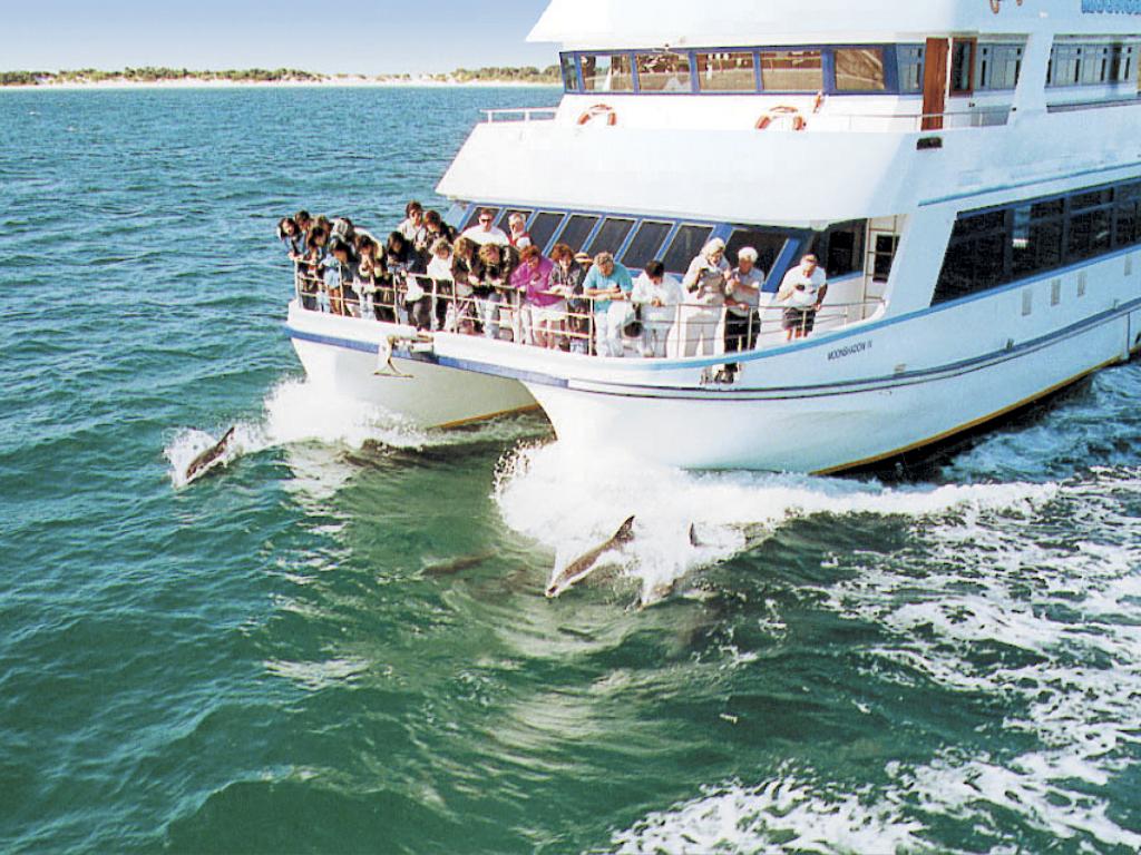 dolphin-watching-port-stephens-32772-crop